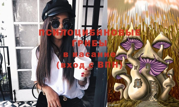 спиды Покачи