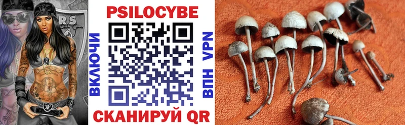 Галлюциногенные грибы мицелий  OMG ссылки  Великий Устюг  где купить наркоту 