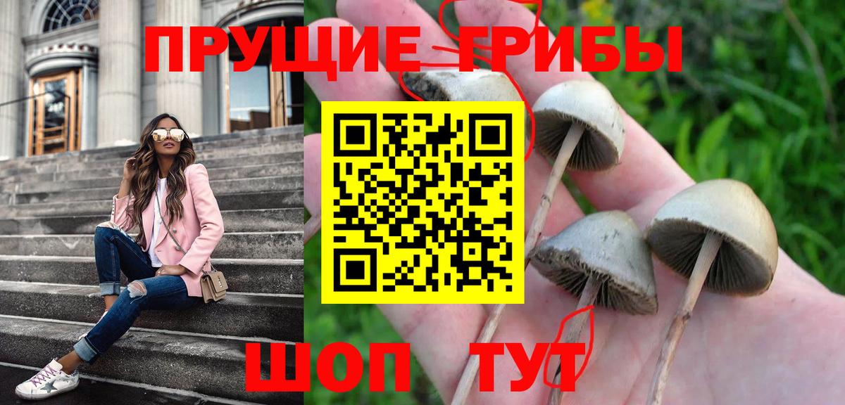Галлюциногенные грибы мицелий  Вход с VPN  Великий Устюг 