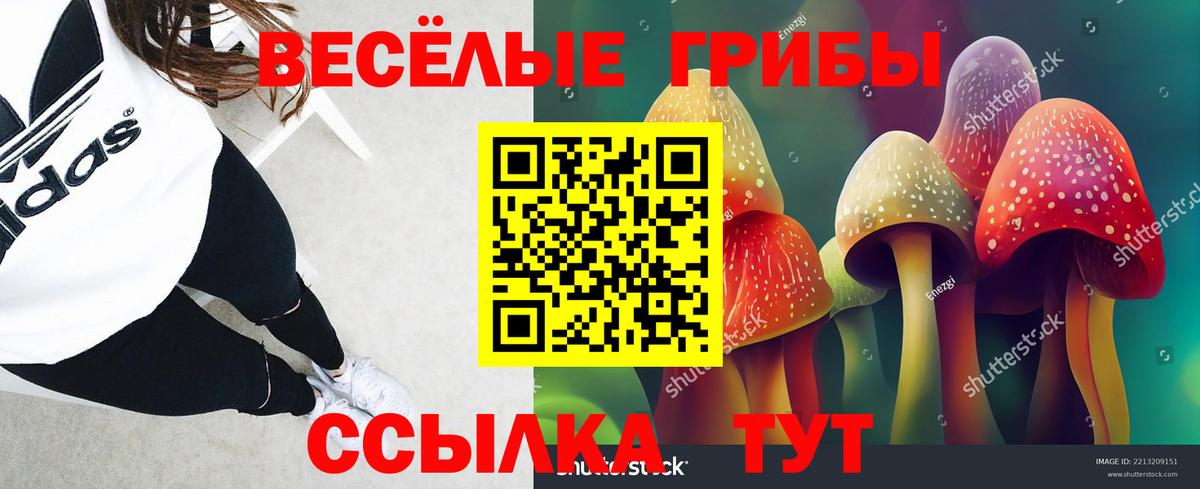 Галлюциногенные грибы GOLDEN TEACHER Великий Устюг
